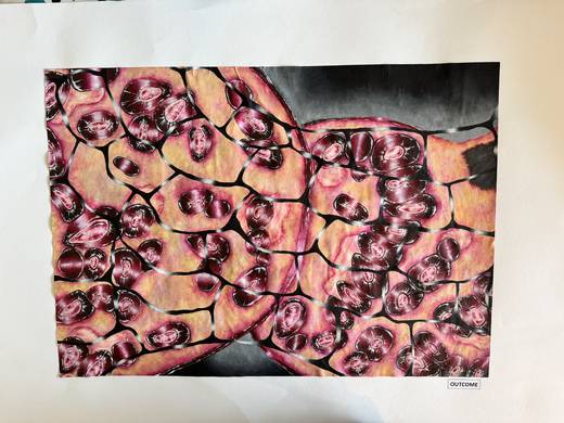 Pupil artwork — St Peter the Apostle High School, 2025, S6