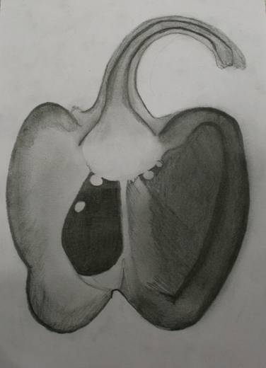 Pupil artwork - Dumbarton Academy, 2026, S3–S4