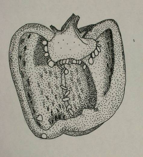 Pupil artwork - Dumbarton Academy, 2026, S3–S4