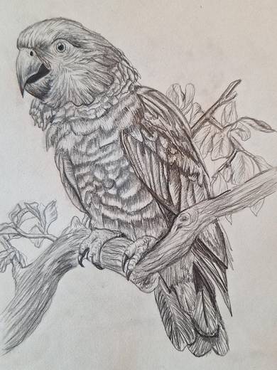 Pupil artwork - St Peter the Apostle High School, 2026, S3–S4